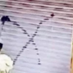 ‘Don’t Think We Can Go Back’: Muslims Fleeing Purola