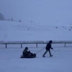 ‘God Has Finally Answered Our Prayers’: Fresh Snowfall Revives Dying Business in Kashmir