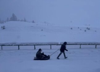 'God Has Finally Answered Our Prayers': Fresh Snowfall Revives Dying Business in Kashmir