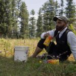 ‘Chinar Man’: Transforming Mountains and Minds in Kashmir’s Frontier