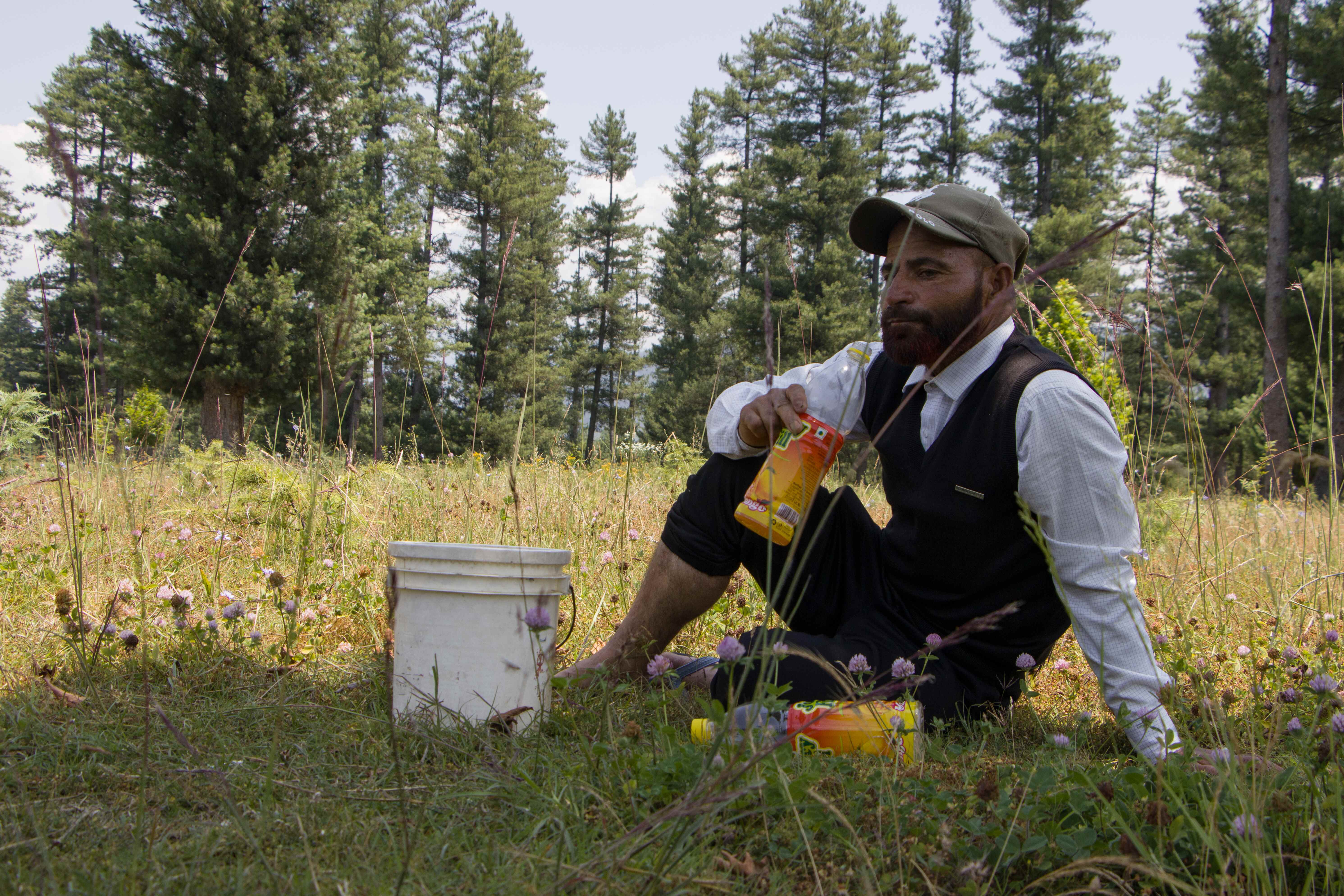 ‘Chinar Man’: Transforming Mountains and Minds in Kashmir’s Frontier