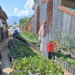 From Homemaker to Entrepreneur: Asiya Begum’s Inspiring Journey in Indoor Mushroom Cultivation and Rooftop Vegetable Farming