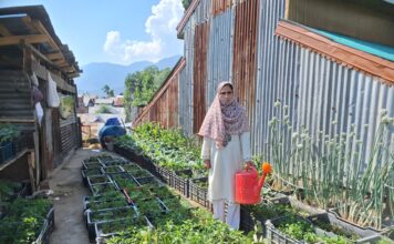 From Homemaker to Entrepreneur: Asiya Begum’s Inspiring Journey in Indoor Mushroom Cultivation and Rooftop Vegetable Farming