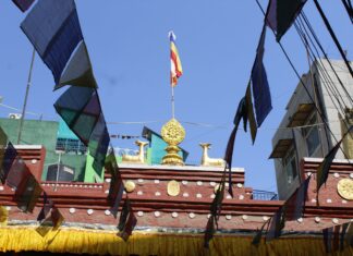 Resilience and Identity: Refugee Women in India Navigate Challenges Through Intersectional Feminism