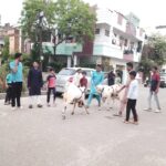 Right-Wing Duplicity: Protesting Eid Al-Adha Sacrifices, Promoting Meat Exports Internationally