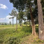 Godna’s Decline: The Baiga Tribe’s Struggle to Preserve a Vanishing Tradition in a Modern World