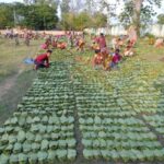 ‘We’re Not Begging — We’re Demanding What’s Ours’: Odisha’s Koraput Tribals Fight for Kendu Leaf Market Freedom