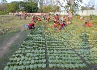 'We’re Not Begging — We’re Demanding What’s Ours': Odisha's Koraput Tribals Fight for Kendu Leaf Market Freedom