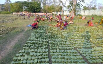 ‘We’re Not Begging — We’re Demanding What’s Ours’: Odisha’s Koraput Tribals Fight for Kendu Leaf Market Freedom