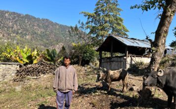 The Great Illusion: How Misframed Adivasi Forest Rights Threaten Culture and Conservation ?