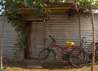 ‘We Came for Work, Now Afraid to Step Out’: Branded ‘Bangladeshi’, Bengali Migrants Face Detention, ‘Assault’, ‘Extortion’ in Gurugram