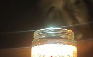 What Happens When a Viral Experiment Reaches a Place Where Water and Food Are Luxury?