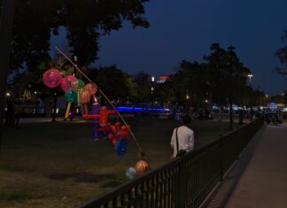 Facelift or Systematic Exclusion? How Central Vista Took India Gate Away From Street Vendors, Public