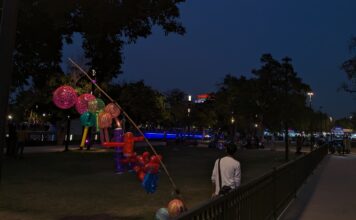 Facelift or Systematic Exclusion? How Central Vista Took India Gate Away From Street Vendors, Public